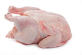 Halal Whole Chicken - 3 lb